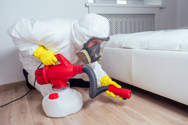 Professional Pest Control in Newington, VA